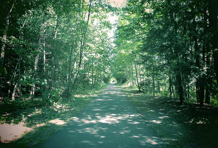 walking path through woods