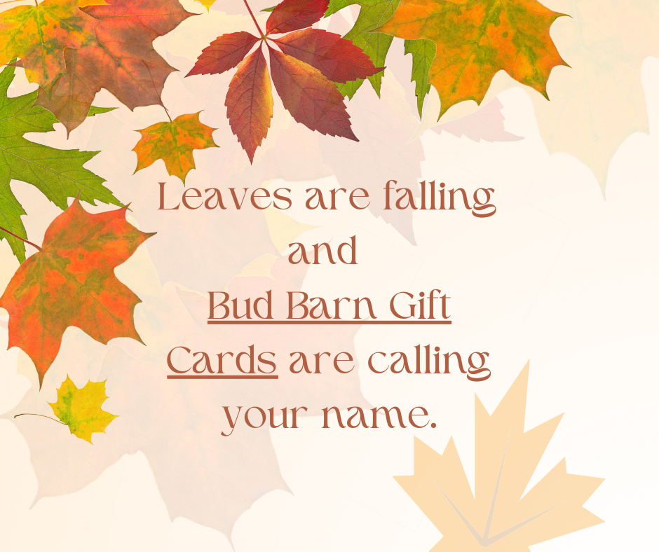 Welcome Fall (Facebook Post) (3)