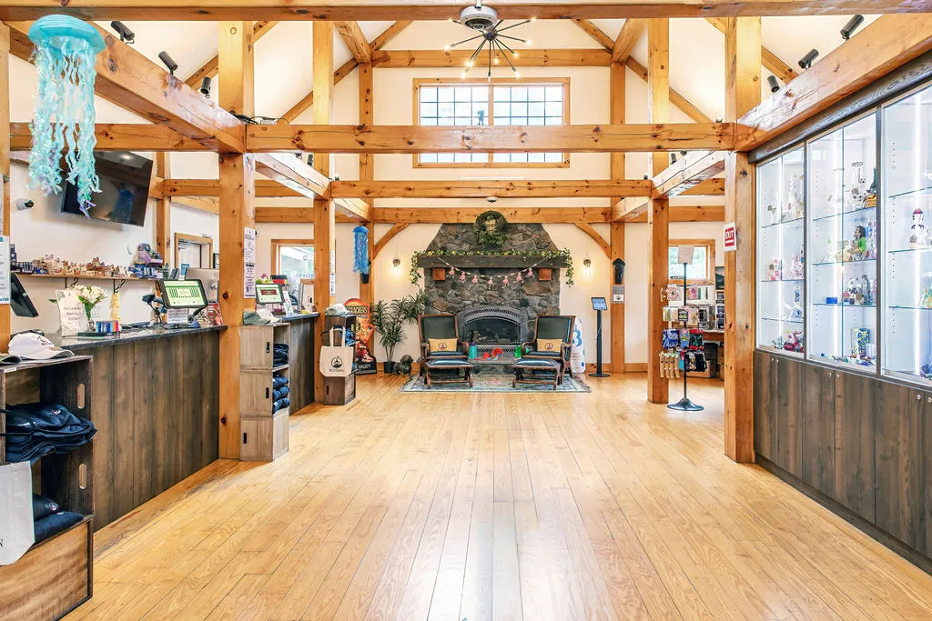 Inside Bud Barn: checkout counter, fireplace seating and glass display cases